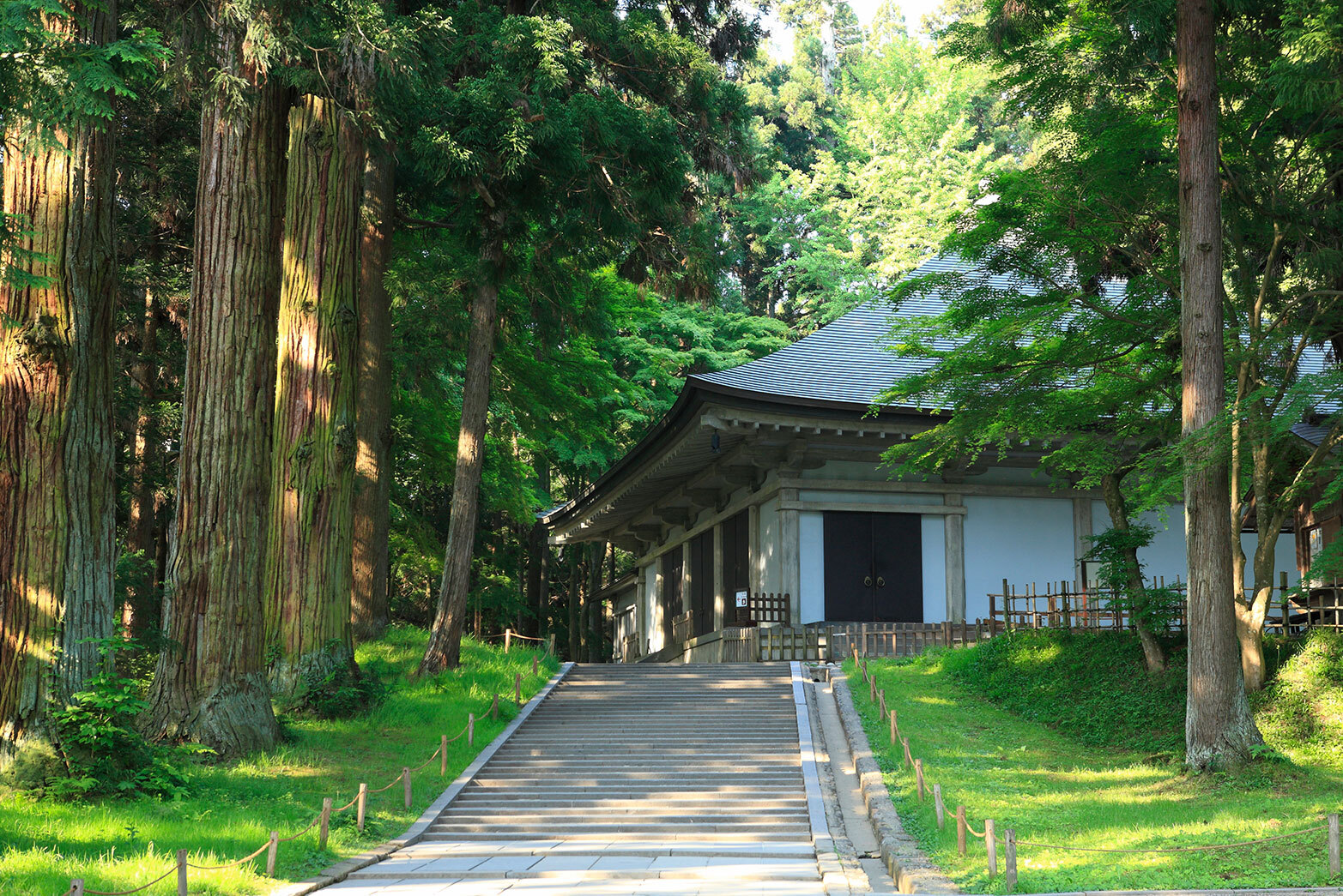 写真：中尊寺金色堂