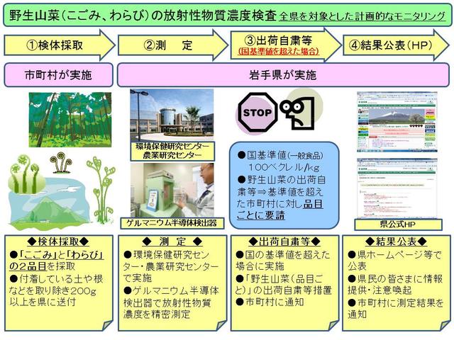 説明図：こごみ、わらびの放射性物質濃度検査は、市町村が検体を採取し、県に送付します。県では、環境保健研究センターまたは農業研究センターのゲルマニウム半導体検出器で、放射性物質濃度を精密測定します。測定の結果、国の基準値を超えた場合は、出荷自粛等の措置を行うとともに市町村に通知します。あわせて、県のホームページなどにより公表し、県民の皆さまに情報提供、注意喚起を行います。