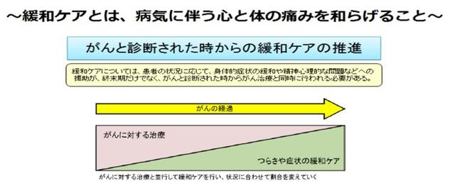 緩和ケア説明図