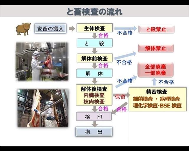 食肉検査のフロー図