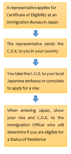 visa process