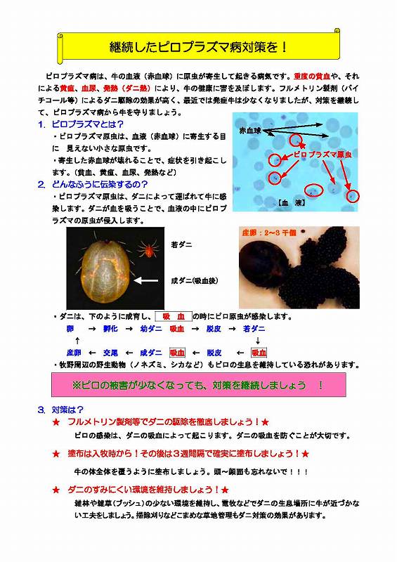 継続したピロプラズマ病対策のチラシ