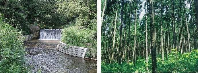 写真:完了例