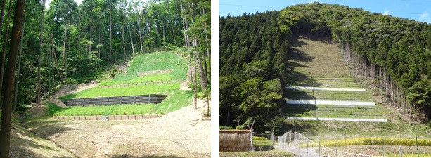 写真:山腹
