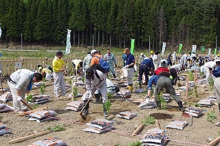 写真：植樹祭4