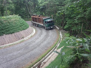平成27年鎌峯沢線(木材搬出)