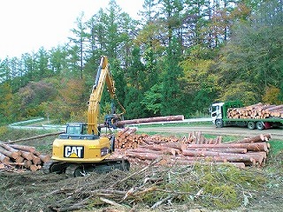 平成27年浪打姉帯線(高性能林業機械による造材作業)