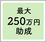 最大250万円助成ロゴ