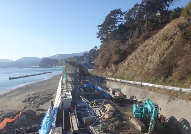 現地写真3