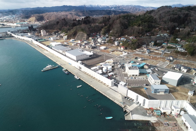 写真:防潮堤3