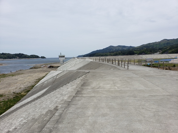 写真:防潮堤1