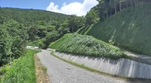 写真:鈴峠1号線
