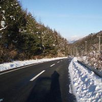 除雪後の写真