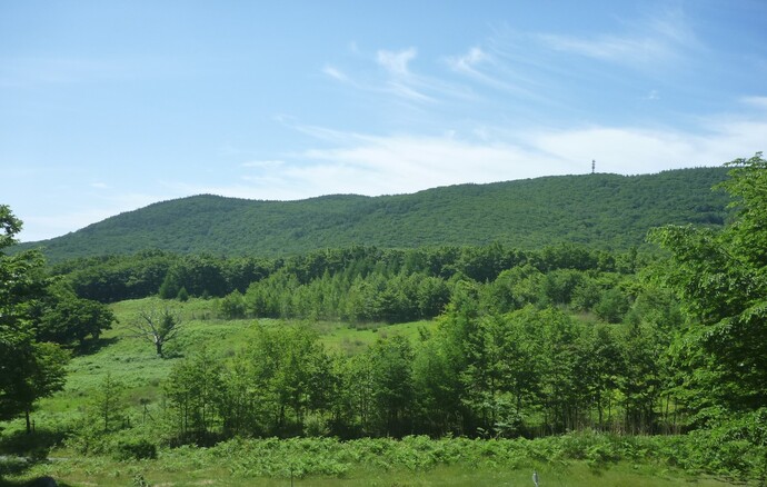 写真:大窪山