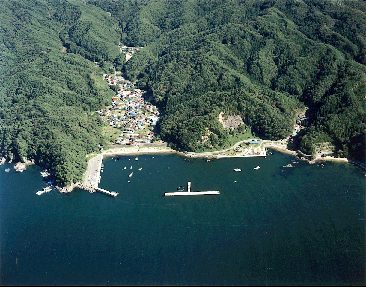 白浜（宮古）漁港の航空写真