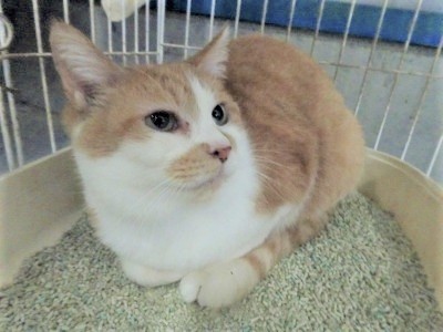 あ