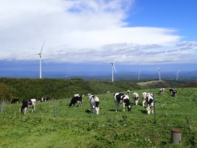 写真：高森高原風力発電所