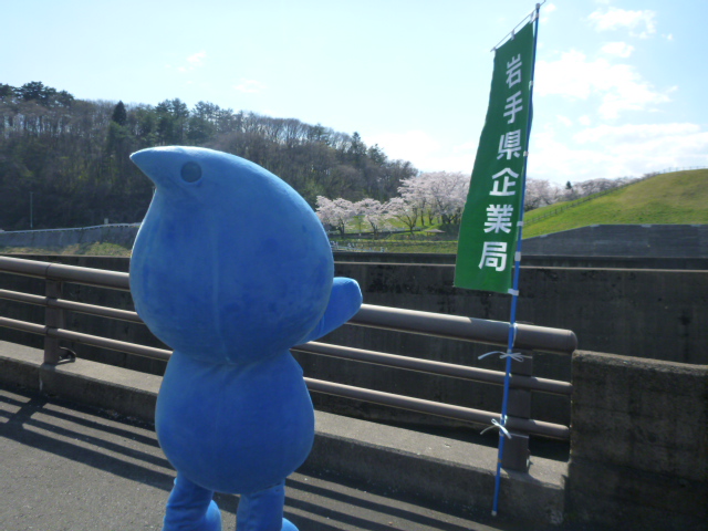 写真：見学受付中