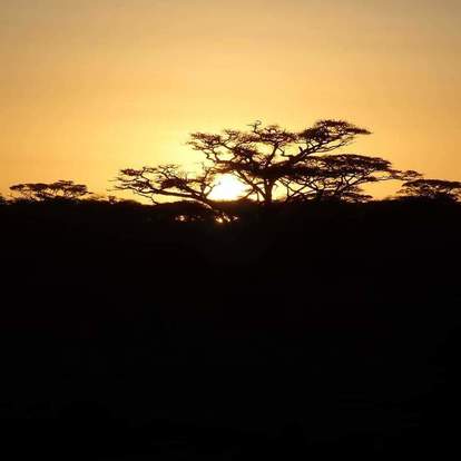 写真：夕暮れの風景