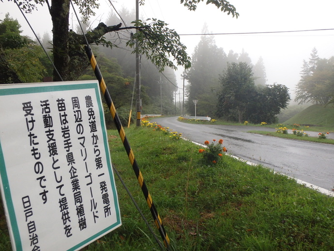 植栽活動2ヶ月後の岩洞第一発電所付近2(写真)