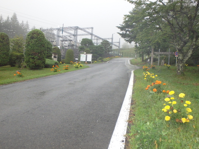 植栽活動2ヶ月後の岩洞第一発電所付近1(写真)