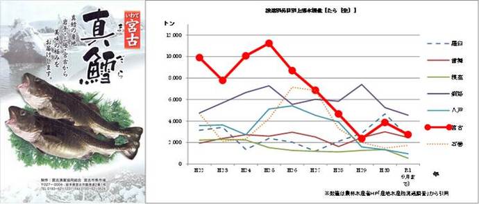 宮古における真鱈水揚量の推移