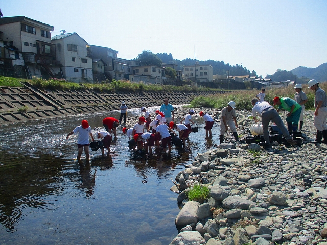 写真:稚魚放流