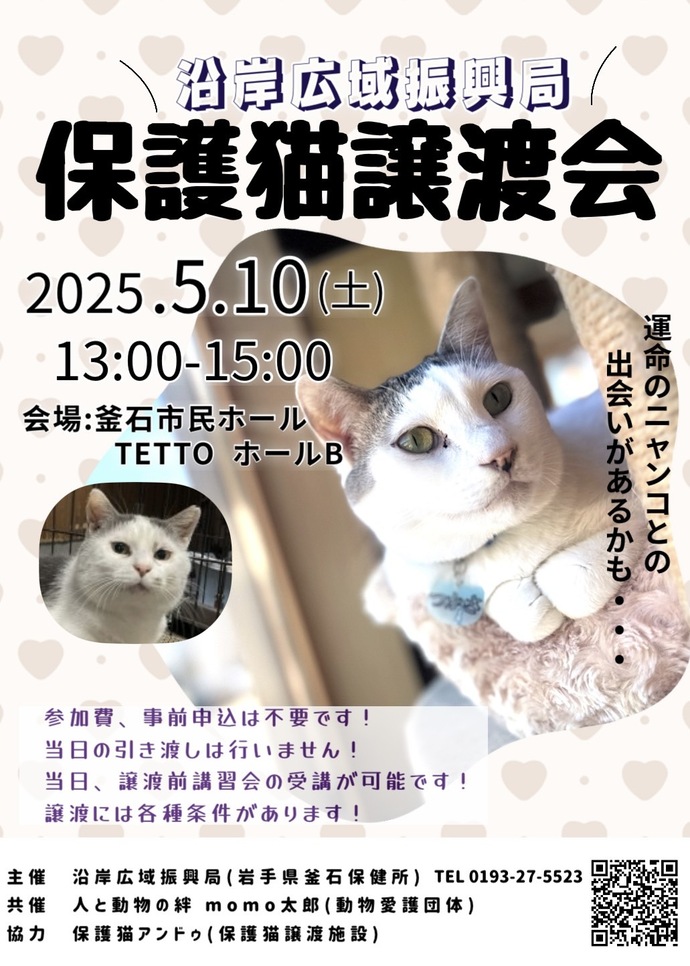 ちらし