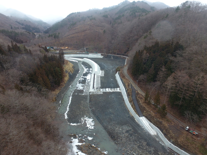 写真:流木20