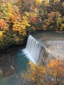 森の大橋から見る紅葉の松川渓谷の景観