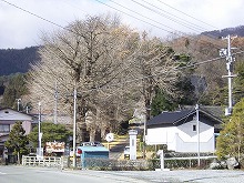 住田町浄福寺付近から見る蔵と巨木の景観