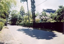 金ヶ崎町諏訪小路伝建群保存地区（表小路）から見る伝建群のまちなみの景観