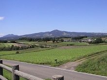 一戸町中山字家向の奥中山高原広場から見る高原の景観