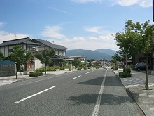 平泉町の毛越寺線から見る束稲山の景観