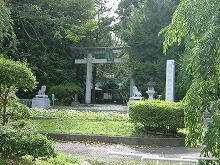 奥州市水沢区中上野町の水沢公園から見る駒形神社と杜の景観