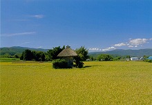 遠野市青笹町中沢地区から見る荒神様（中沢堂）の景観