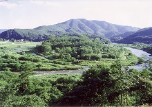 遠野市宮守町国道283号柏木平から見る猿ヶ石川の景観