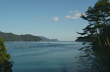山田町船越から大浦への町道から見る陸中海岸国立公園　山田湾と山田湾入口の景観