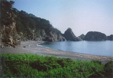 宮古市田老の栃内浜（樫内遊歩道）から見る砂浜と岩礁＋ハマナスの景観