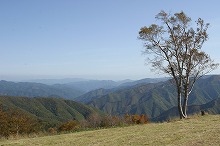 宮古市和井内の夏刈高原から見る和井内地区全域の景観