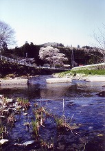 一関市室根町　津谷川から見る下川原の景観