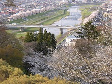 一関市釣山公園の東屋から見る一関の町中を流れる桜の磐井川の景観