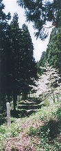 一関市舞川から見る舞草神社東参道の景観
