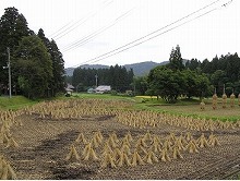 一関市本寺地区から見る旧河道の地形が残る中澤の景観