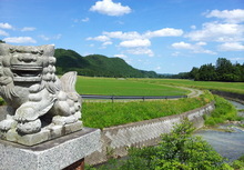 県道49号から本寺川を望む景観