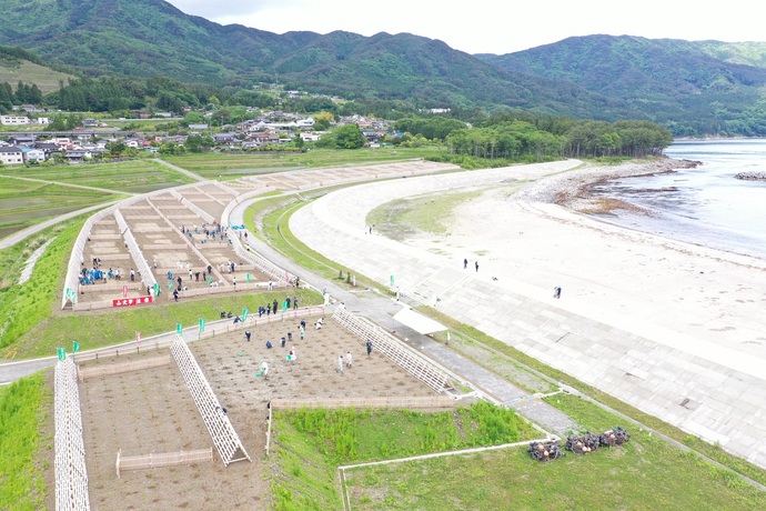 吉浜地区海岸防災林(大船渡市)