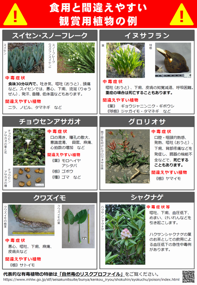 食用と間違えやすい観賞用植物の例