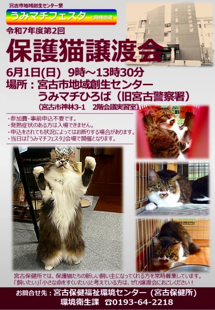 第2回保護猫譲渡会ポスター