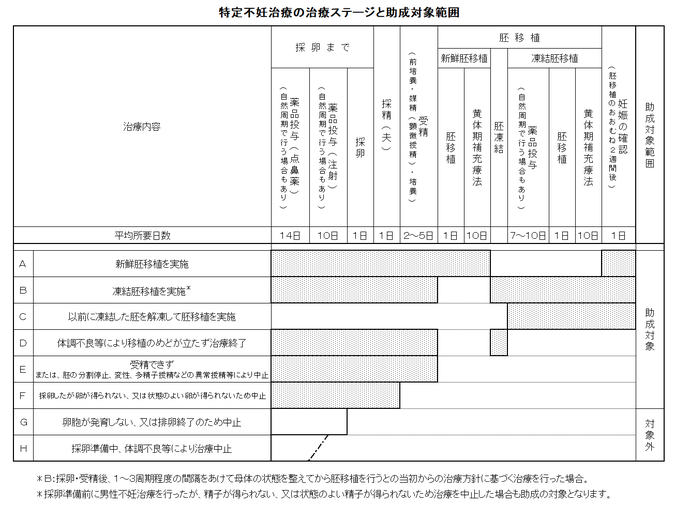 体外受精、顕微授精の治療ステージについて