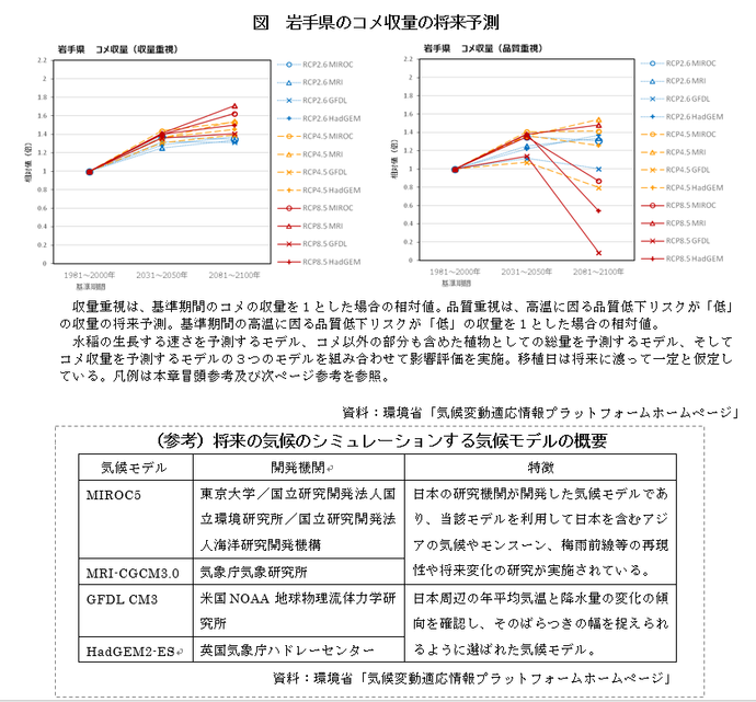 水稲